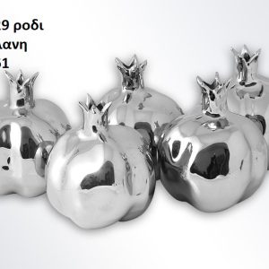 Διακοσμητικό ρόδι 1012029