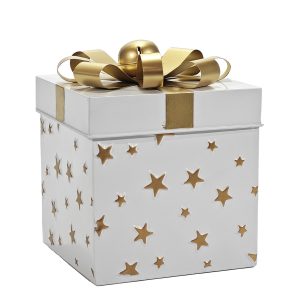 Χριστουγεννιάτικο Κουτί Δώρου Λευκό 23cm