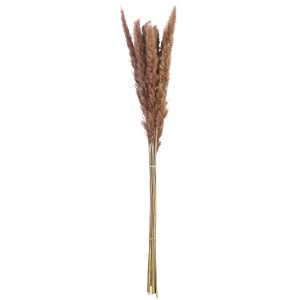 Δέσμη Πάμπας Γρασίδι Συνθετικό Καφέ 70cm