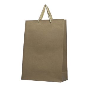 Χριστουγεννιάτικη Μεσαία Χάρτινη Τσάντα Craft 30x12x42cm